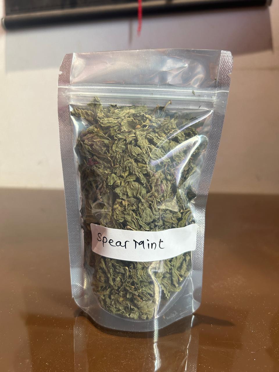 Spear mint